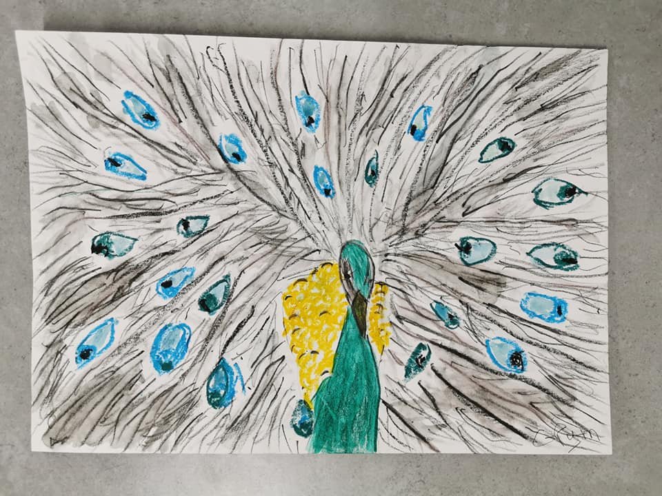 creative minds artist