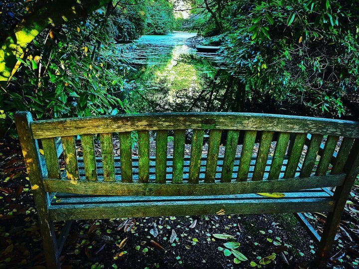 creative wellbeing retreats
